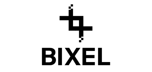 bixel画像